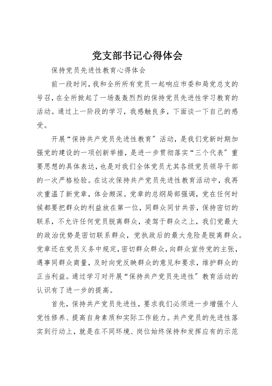 2023年党支部书记心得体会.docx_第1页