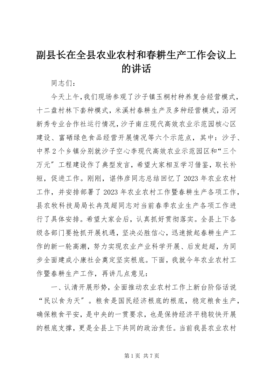 2023年副县长在全县农业农村和春耕生产工作会议上的致辞.docx_第1页