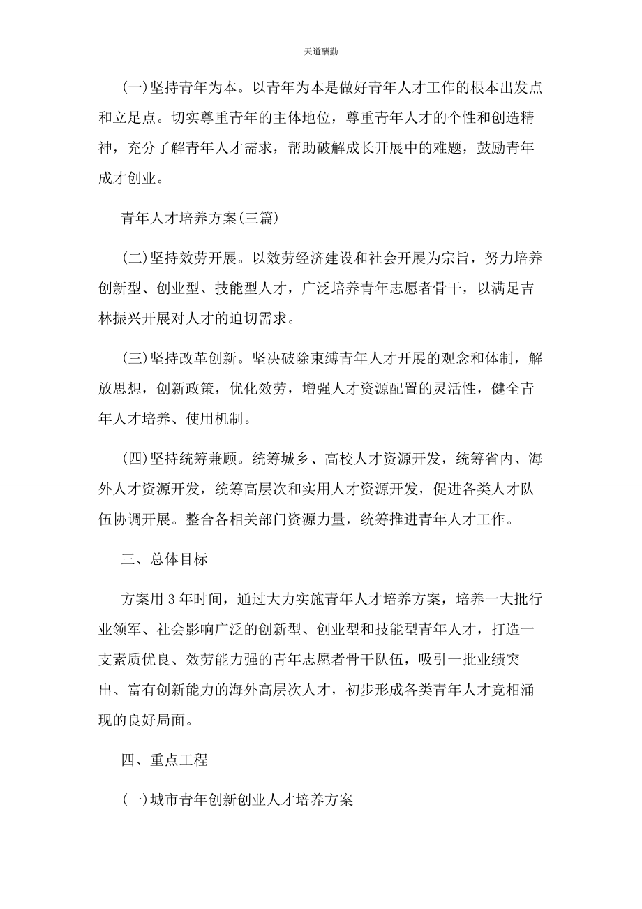 2023年工作计划 青人才培养计划3篇范文.docx_第2页