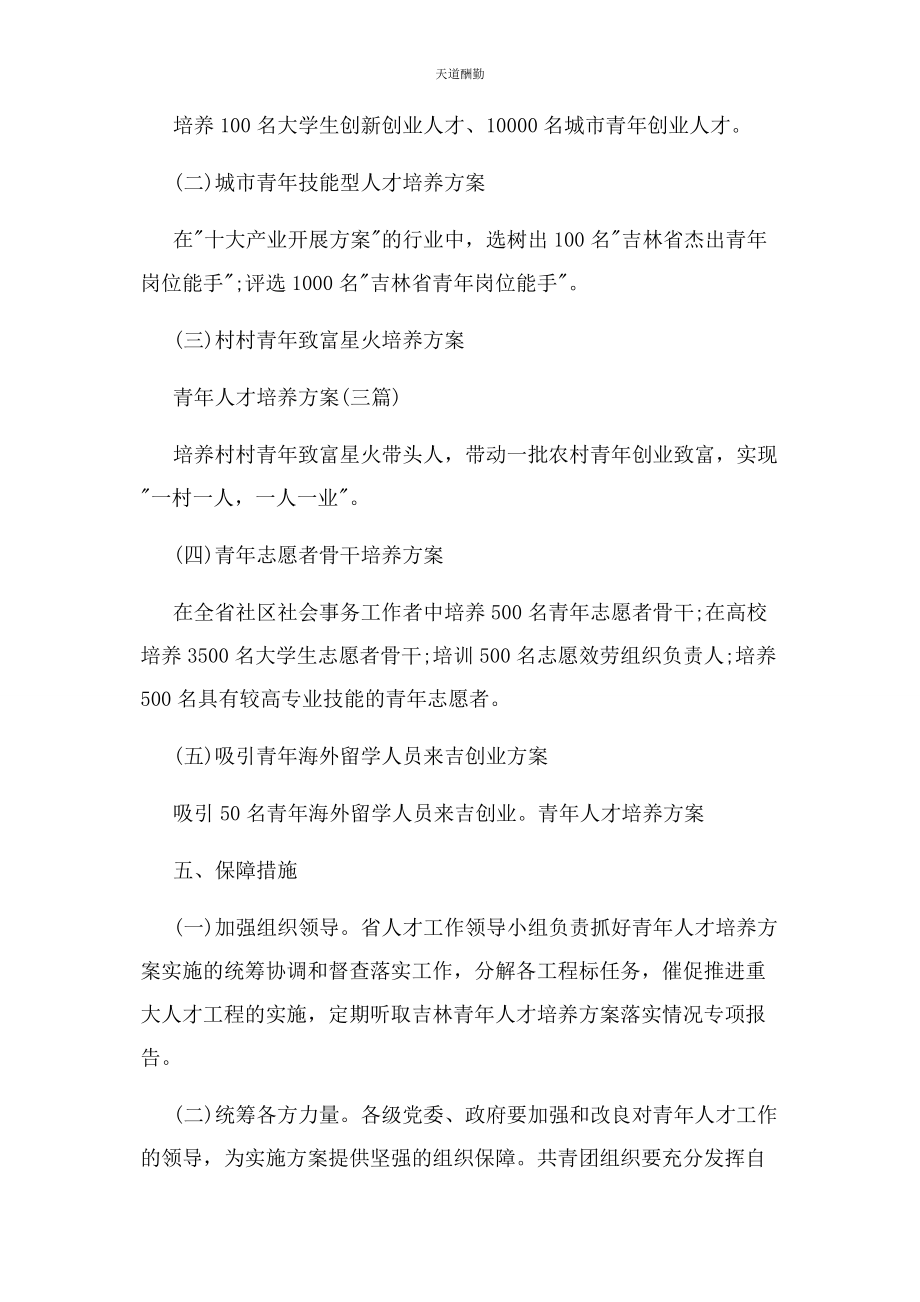 2023年工作计划 青人才培养计划3篇范文.docx_第3页