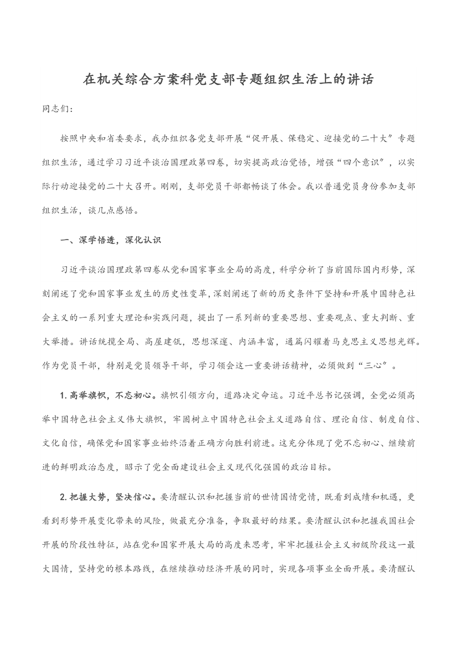 在机关综合计划科党支部专题组织生活上的讲话.docx_第1页