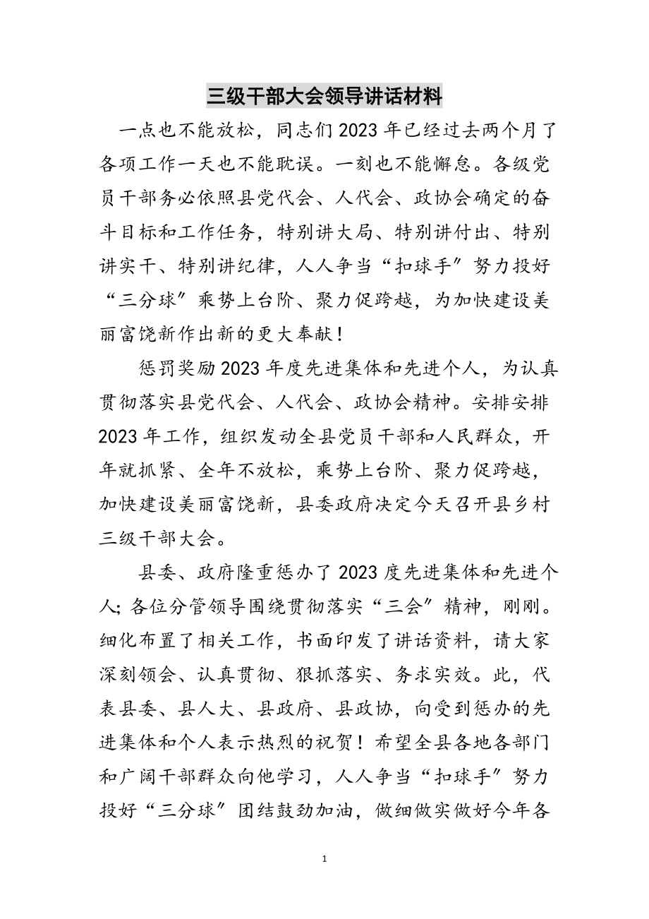 2023年三级干部大会领导讲话材料范文.doc_第1页