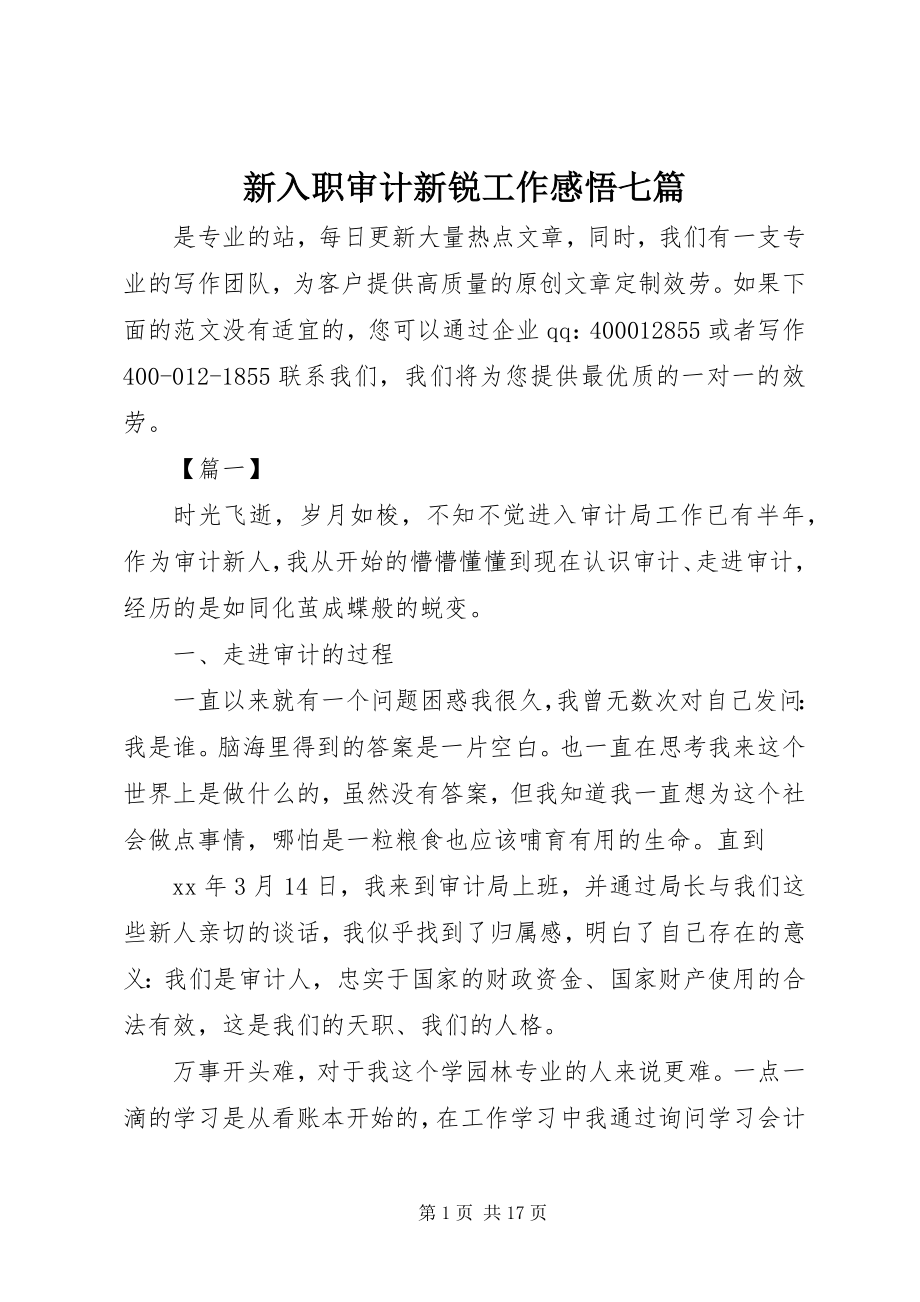 2023年新入职审计新锐工作感悟七篇.docx_第1页