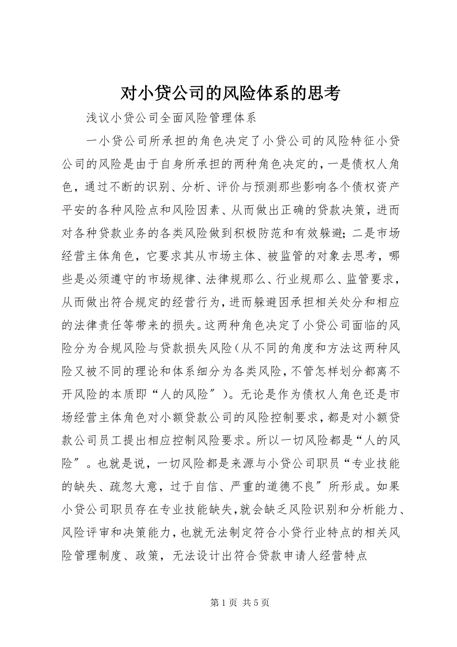 2023年对小贷公司的风险体系的思考.docx_第1页