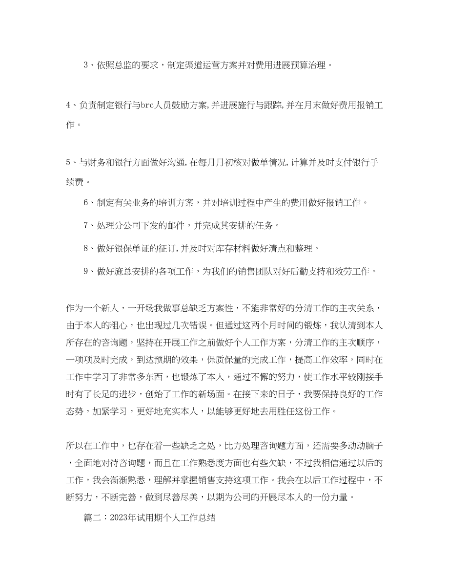 2023年个人工作总结试用期个人工作总结.docx_第2页