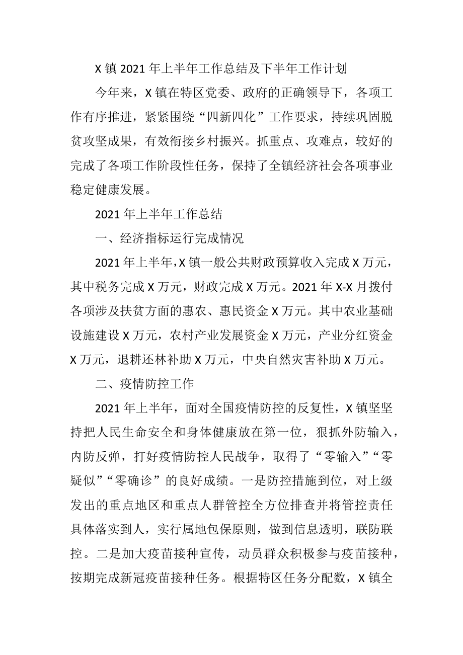 X乡镇2021年上半年工作总结及下半年工作计划.docx_第1页