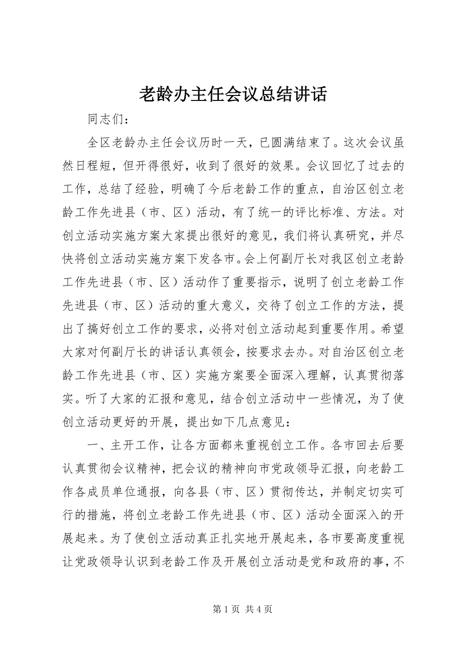 2023年老龄办主任会议总结致辞.docx_第1页