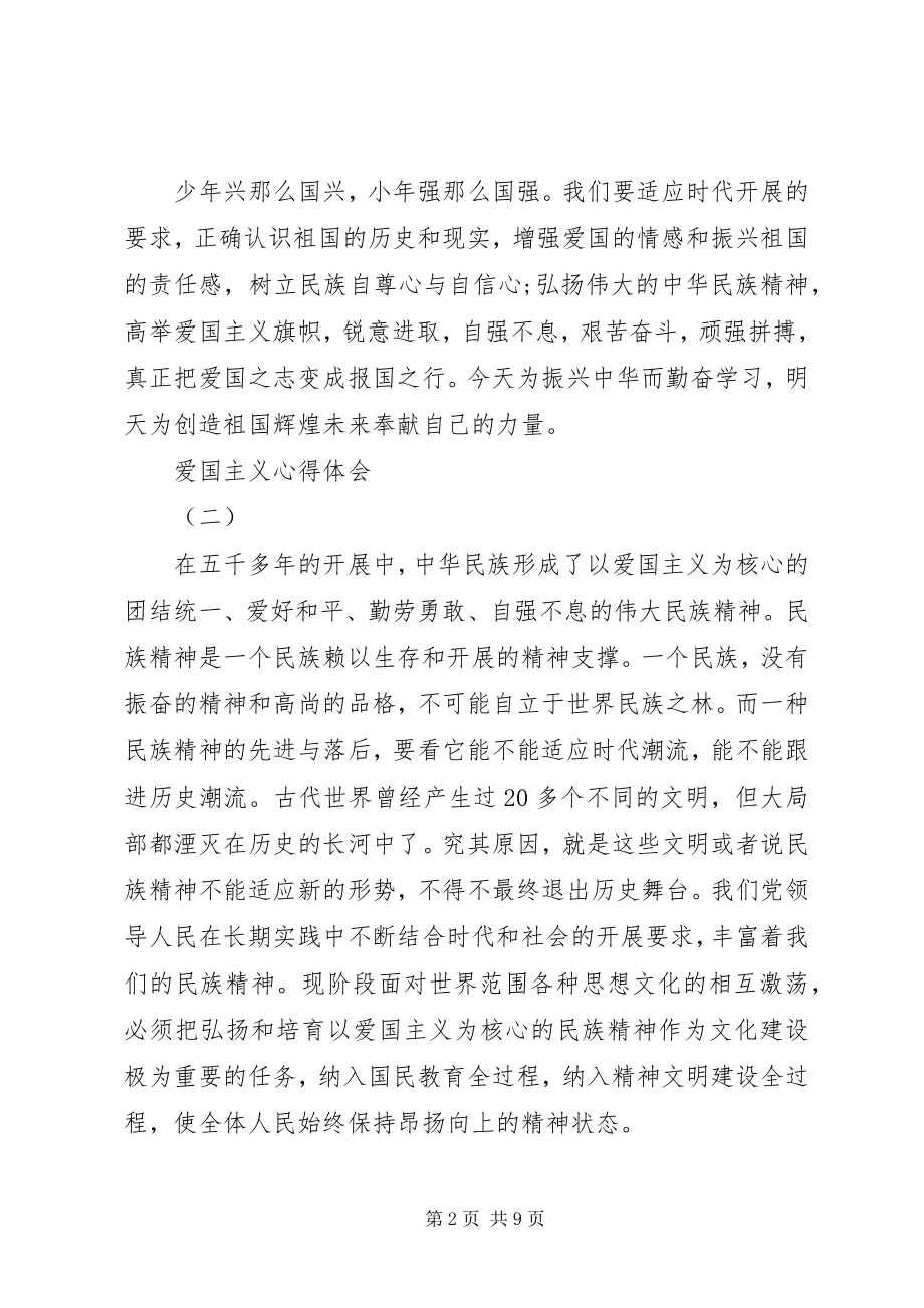 2023年爱国主义心得体会5篇新编.docx_第2页