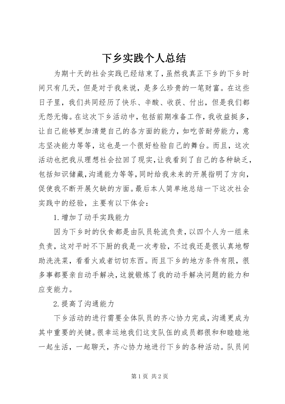 2023年下乡实践个人总结.docx_第1页