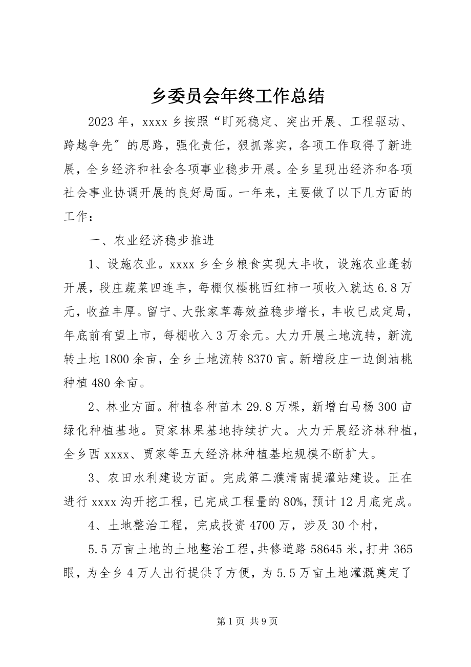 2023年乡委员会年终工作总结.docx_第1页