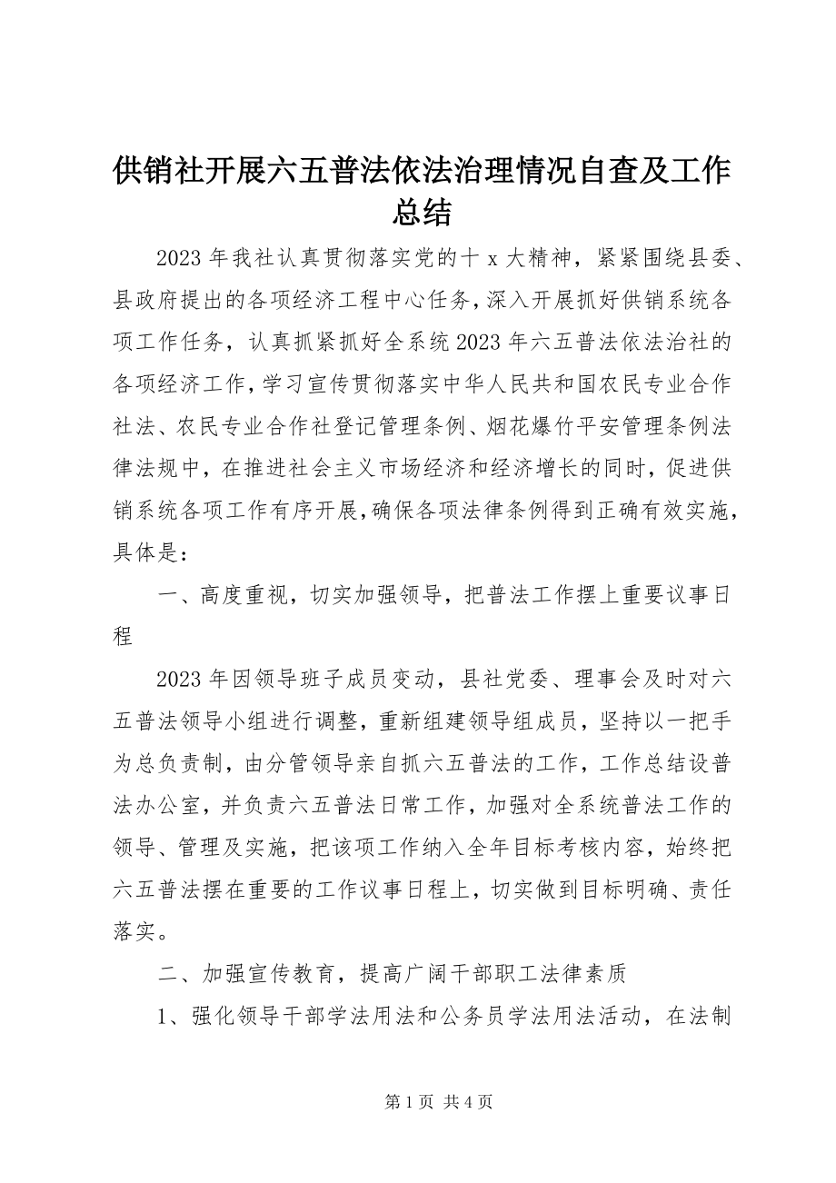 2023年供销社开展六五普法依法治理情况自查及工作总结.docx_第1页