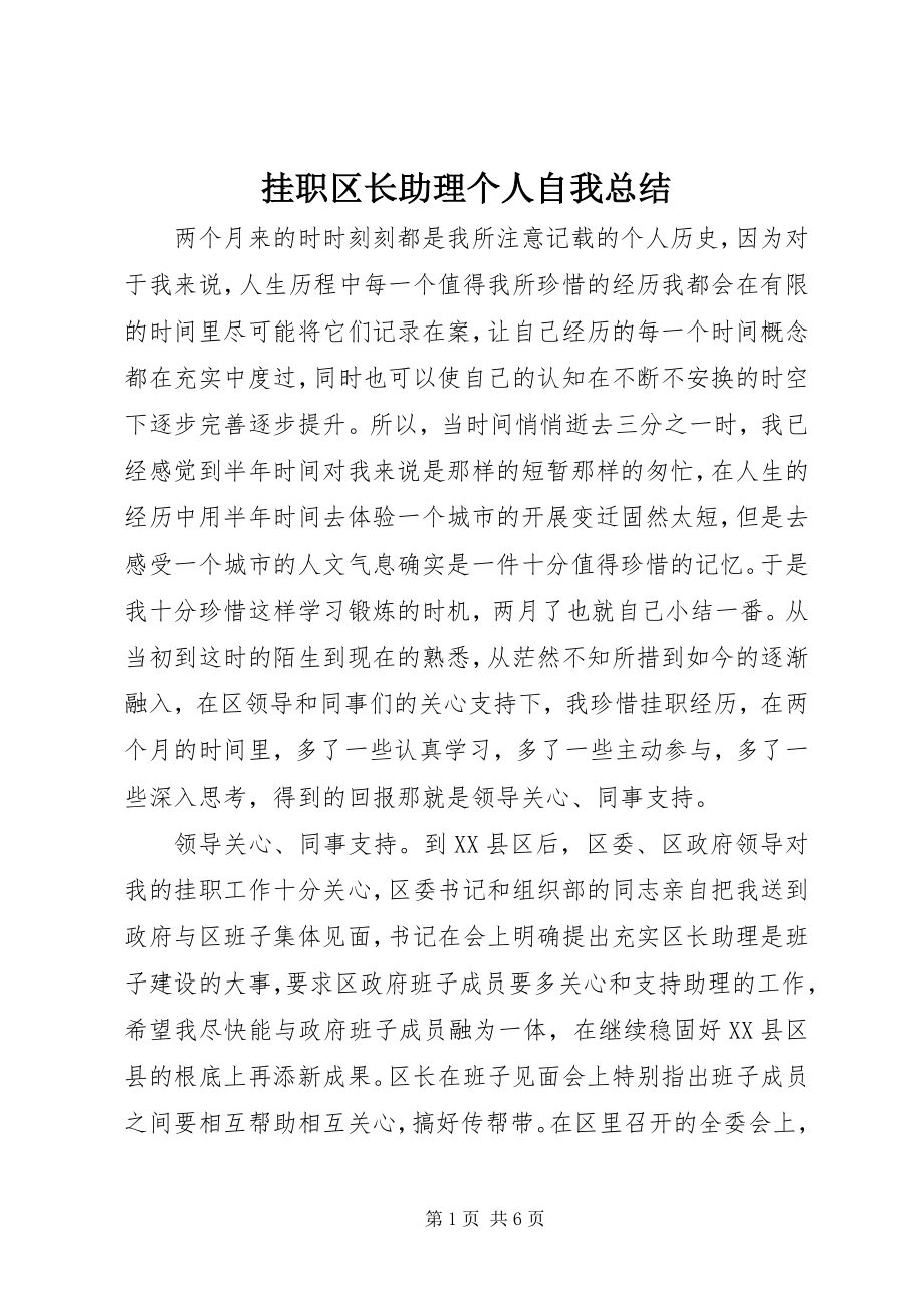 2023年挂职区长助理个人自我总结.docx_第1页