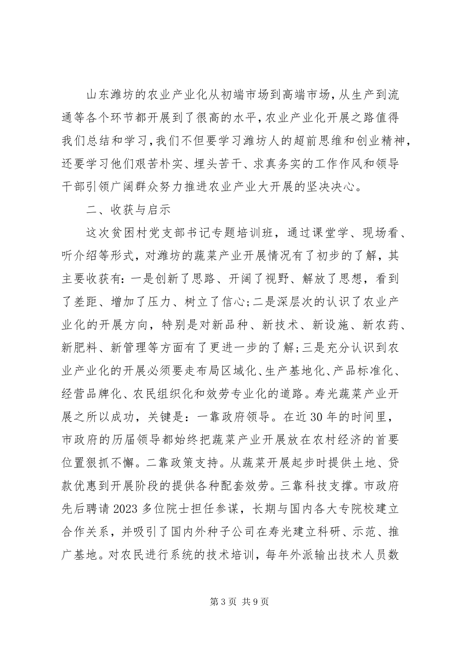 2023年脱贫攻坚党课讲稿.docx_第3页