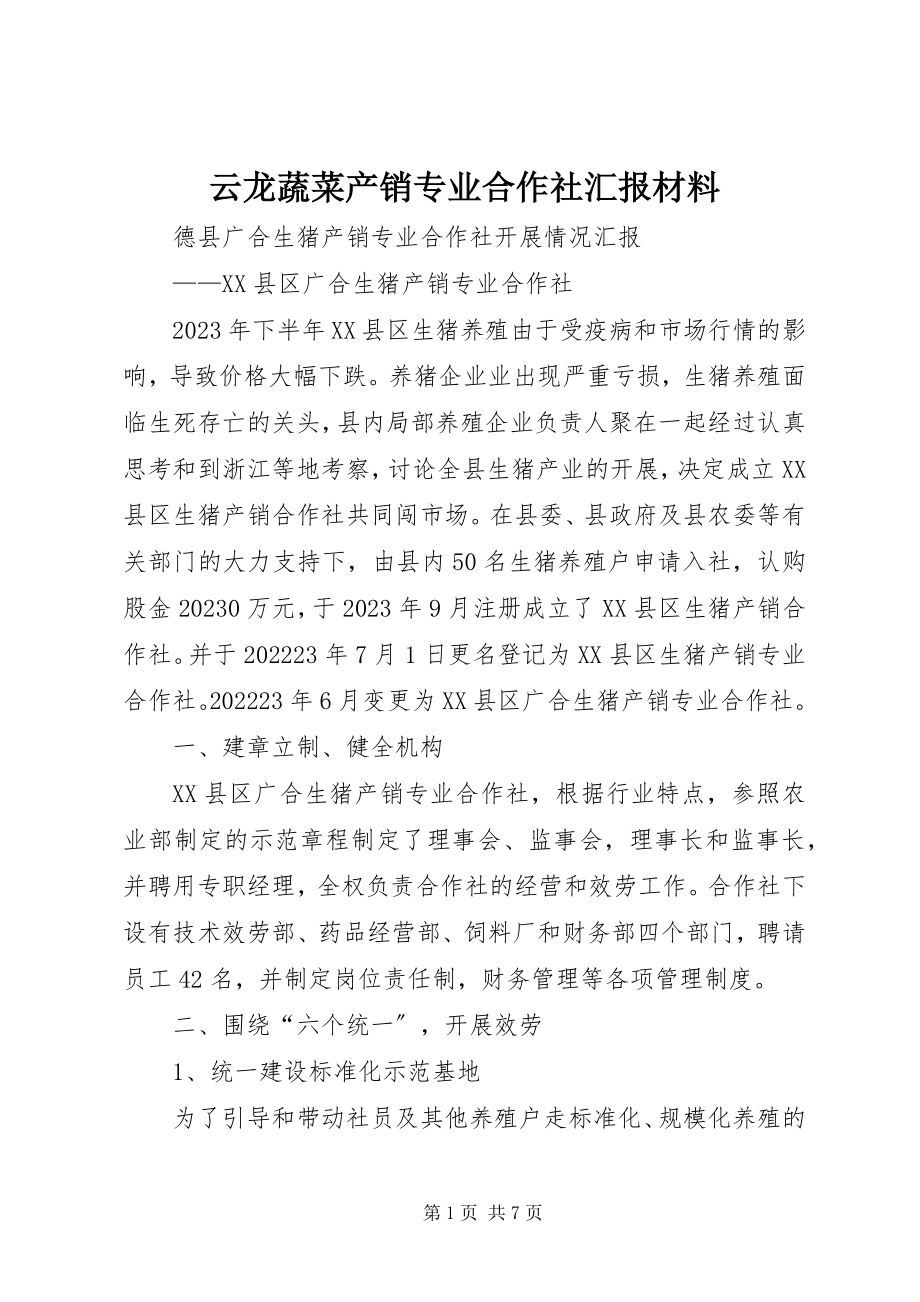 2023年云龙蔬菜产销专业合作社汇报材料.docx_第1页