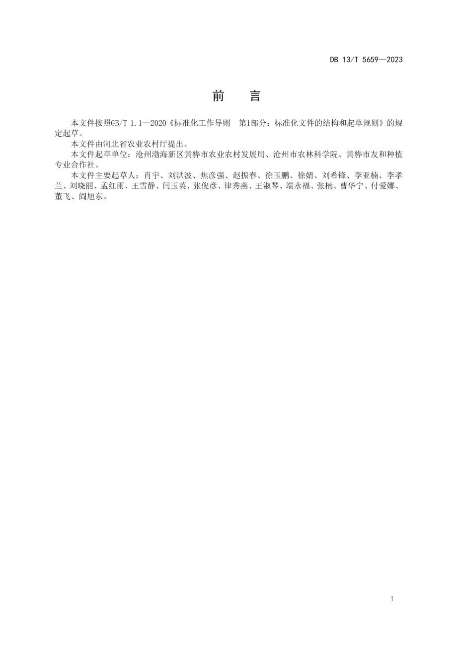 DB13T 5659-2023黄骅旱碱麦生产技术规程.pdf_第3页