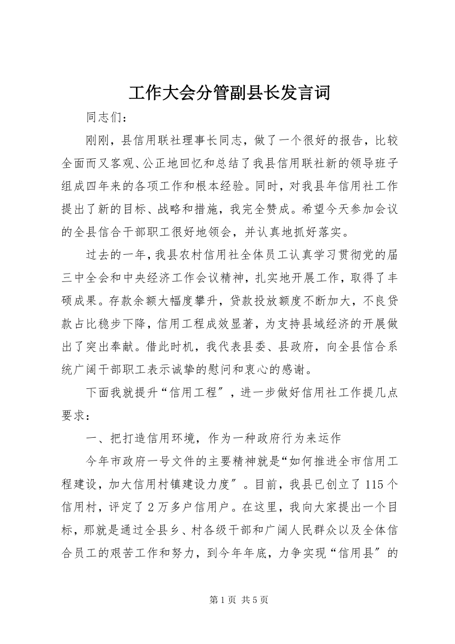 2023年工作大会分管副县长讲话词.docx_第1页