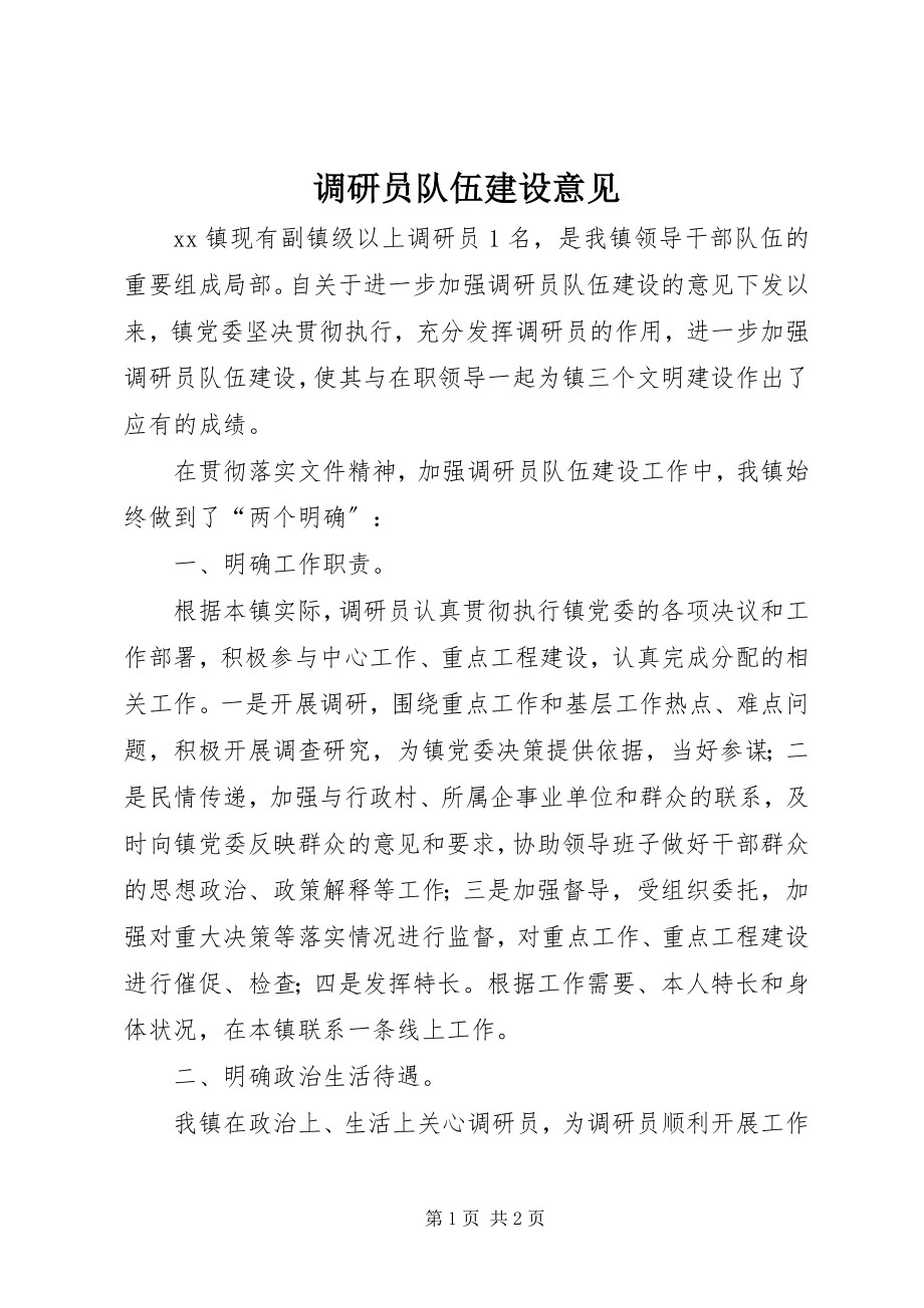 2023年调研员队伍建设意见.docx_第1页