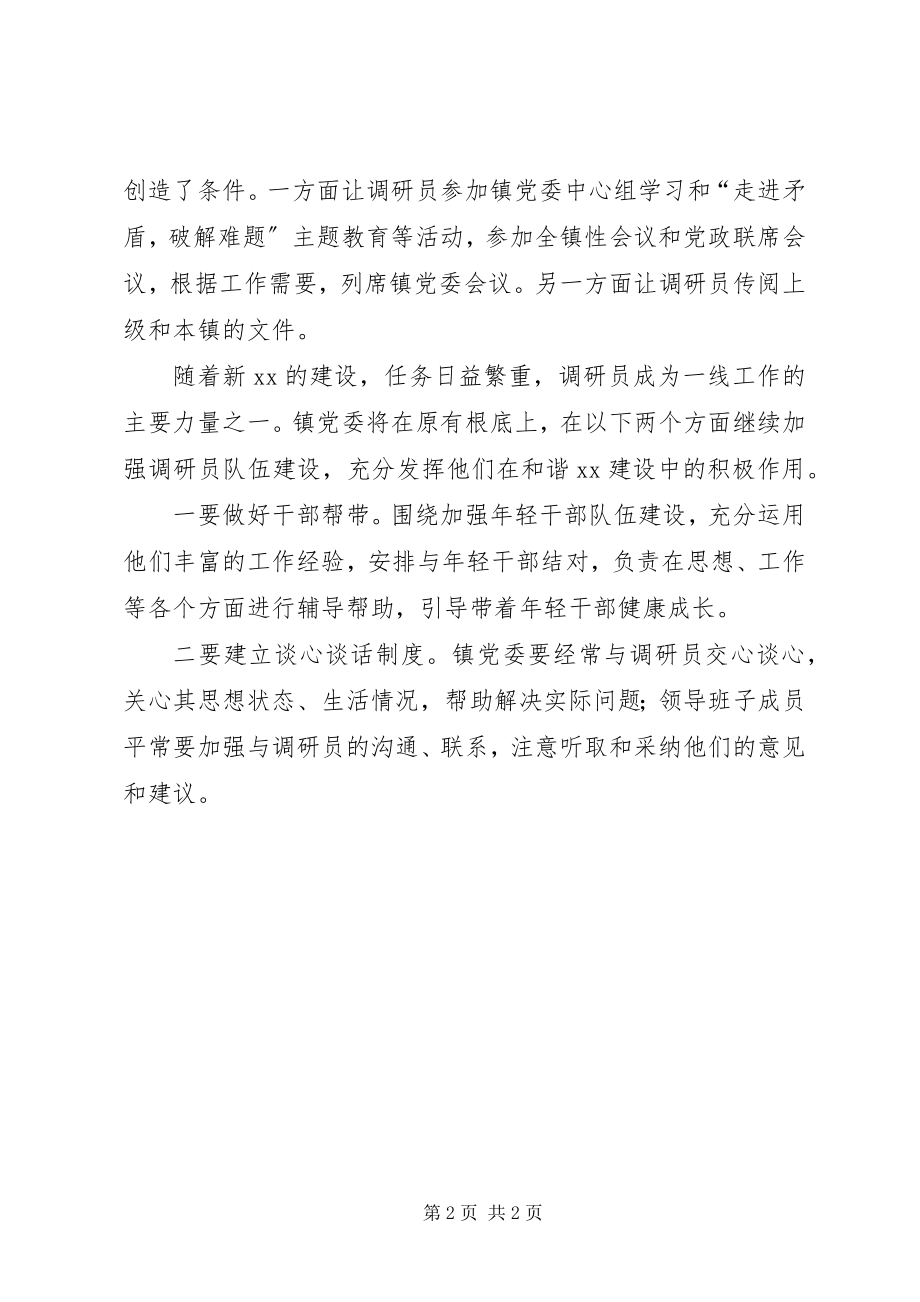 2023年调研员队伍建设意见.docx_第2页