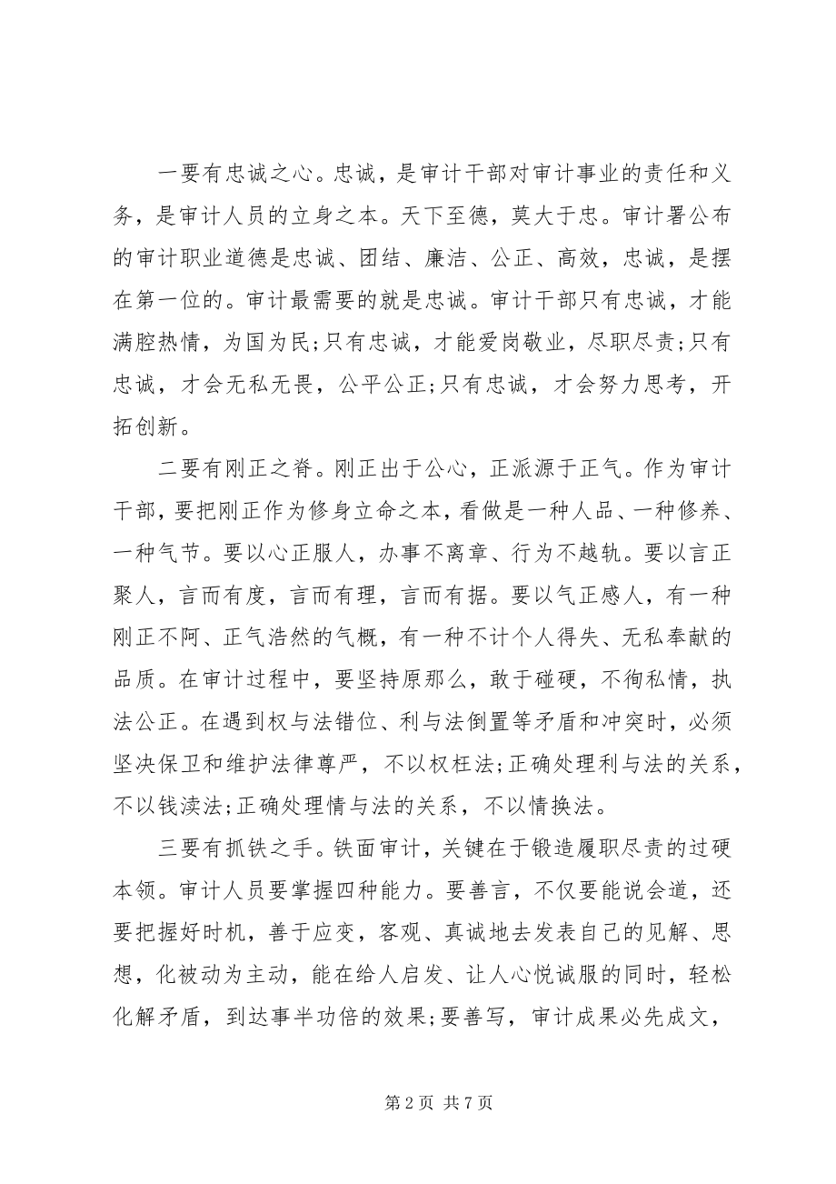 2023年审计干部在严以律己研讨会上的讲话稿.docx_第2页