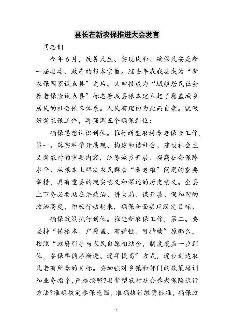 2023年县长在新农保推进大会发言范文.doc_第1页