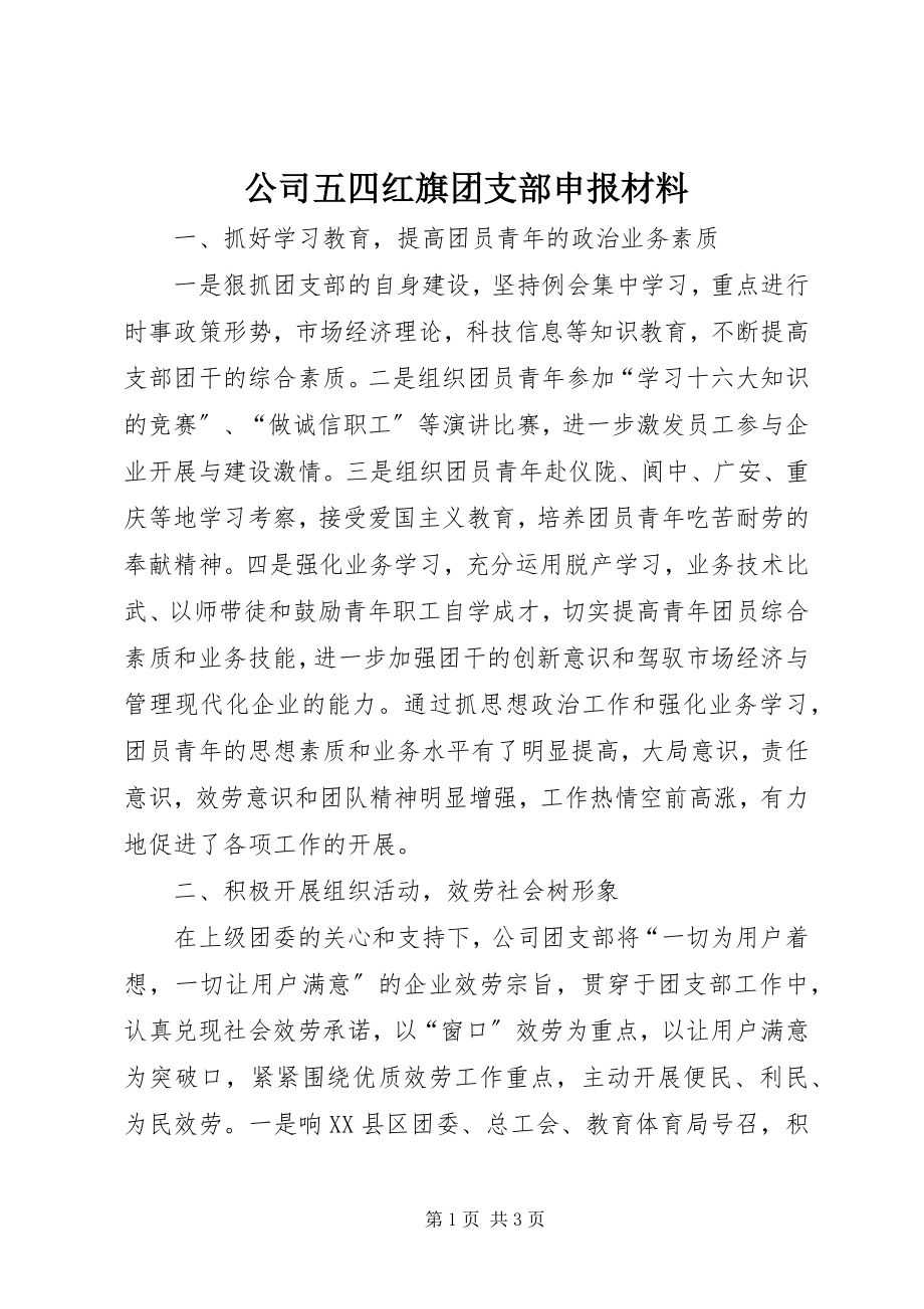 2023年公司五四红旗团支部申报材料.docx_第1页