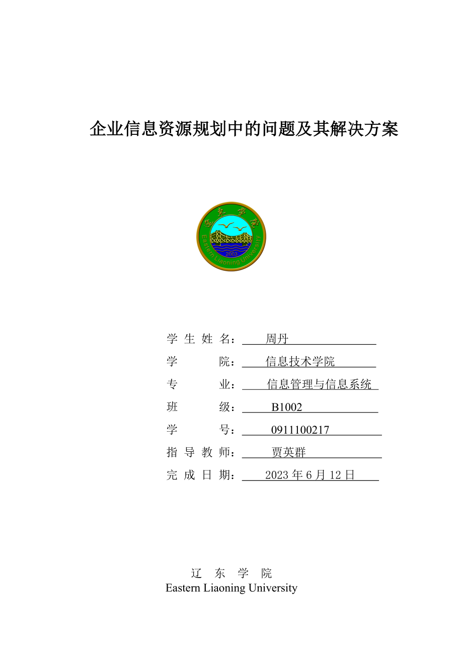 2023年企业信息资源规划中的问题及其解决方案.doc_第1页