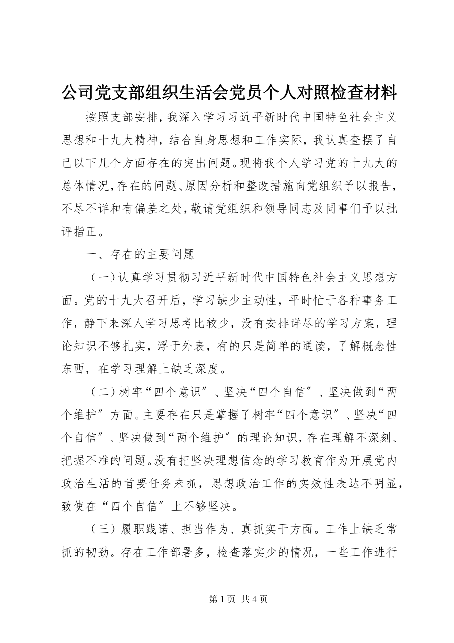 2023年公司党支部组织生活会党员个人对照检查材料.docx_第1页