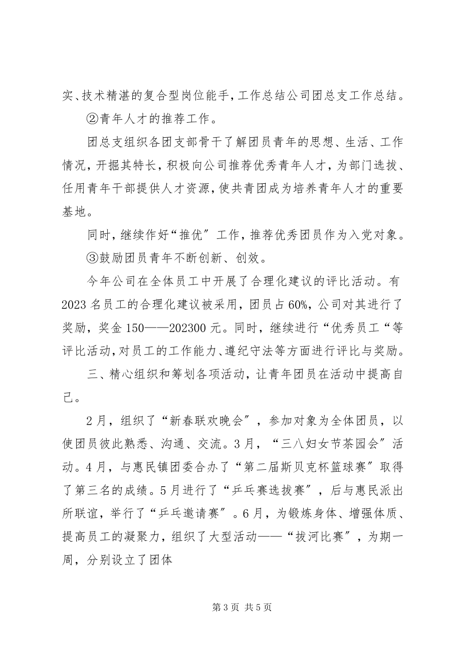 2023年公司团总支工作计划.docx_第3页