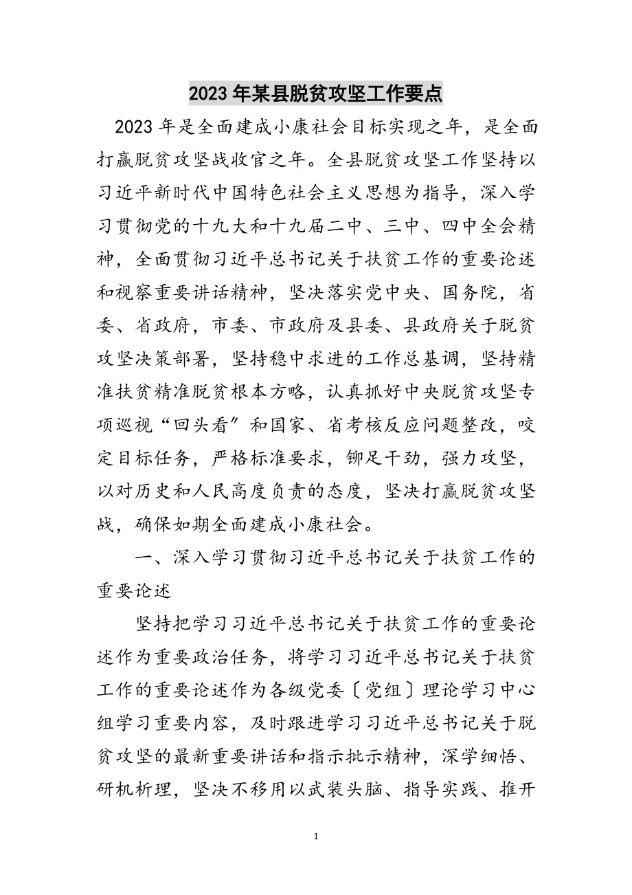 2023年年某县脱贫攻坚工作要点范文.doc_第1页