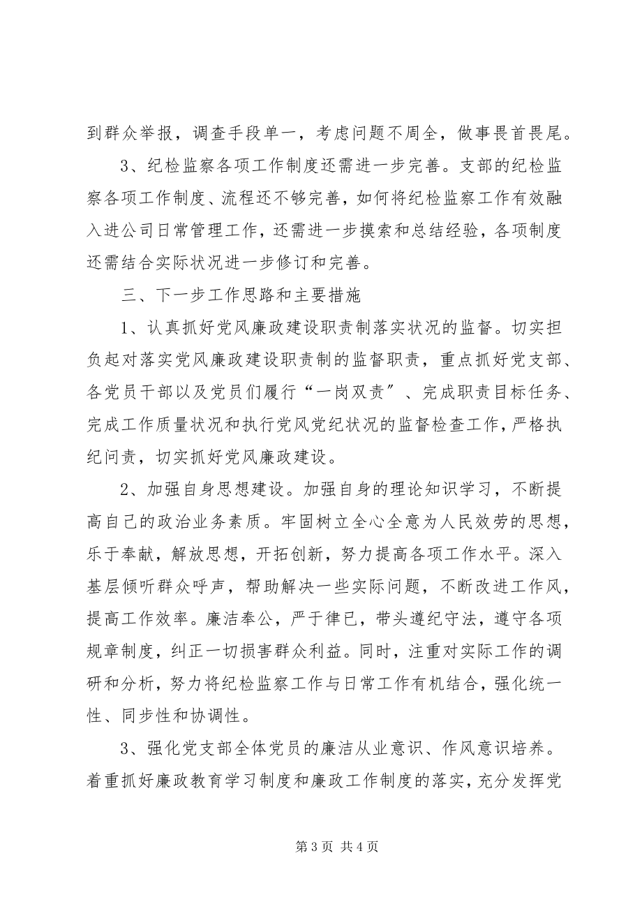 2023年公司党支部纪检委员个人工作总结.docx_第3页