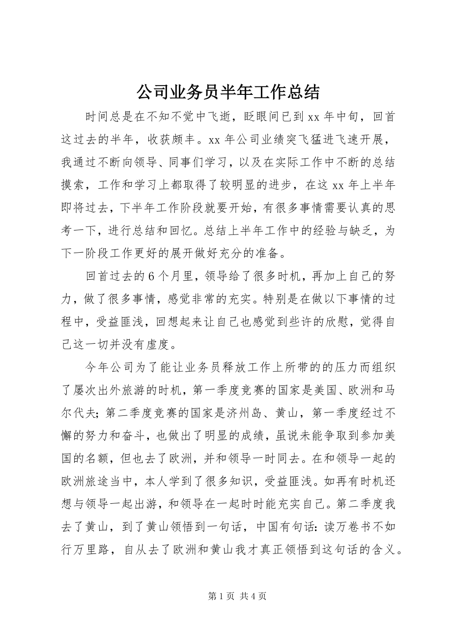 2023年公司业务员半年工作总结.docx_第1页