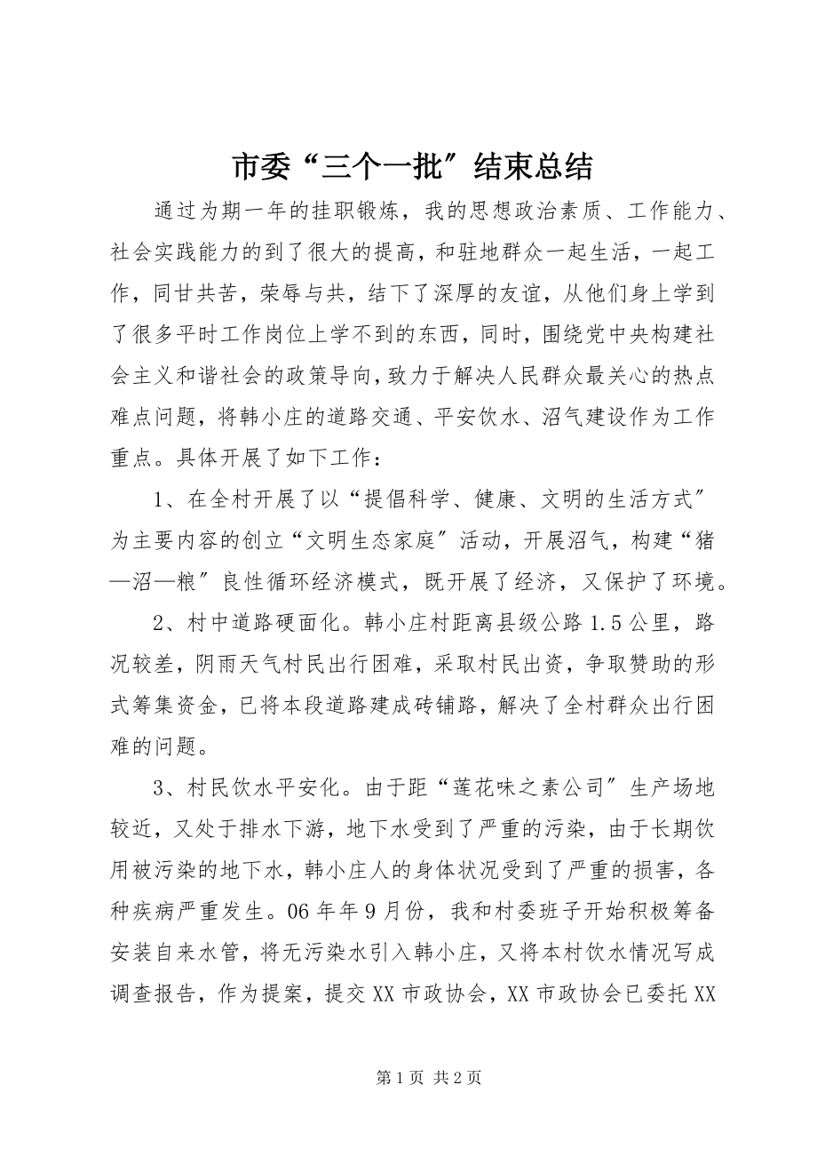 2023年市委“三个一批”结束总结.docx_第1页