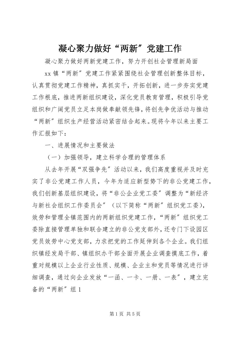 2023年凝心聚力做好“两新”党建工作.docx_第1页