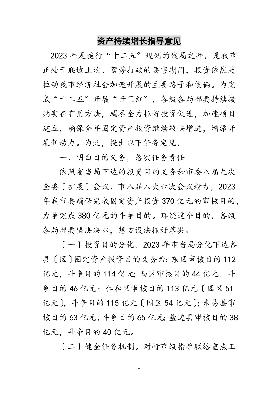 2023年资产持续增长指导意见范文.doc_第1页