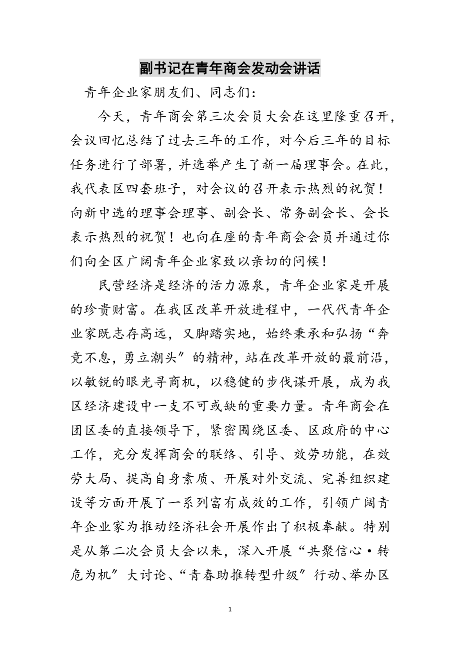 2023年副书记在青年商会动员会讲话范文.doc_第1页