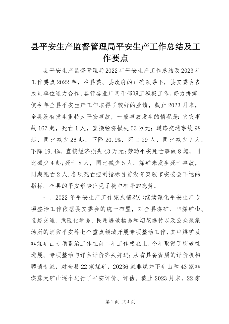 2023年县安全生产监督管理局安全生产工作总结及工作要点.docx_第1页