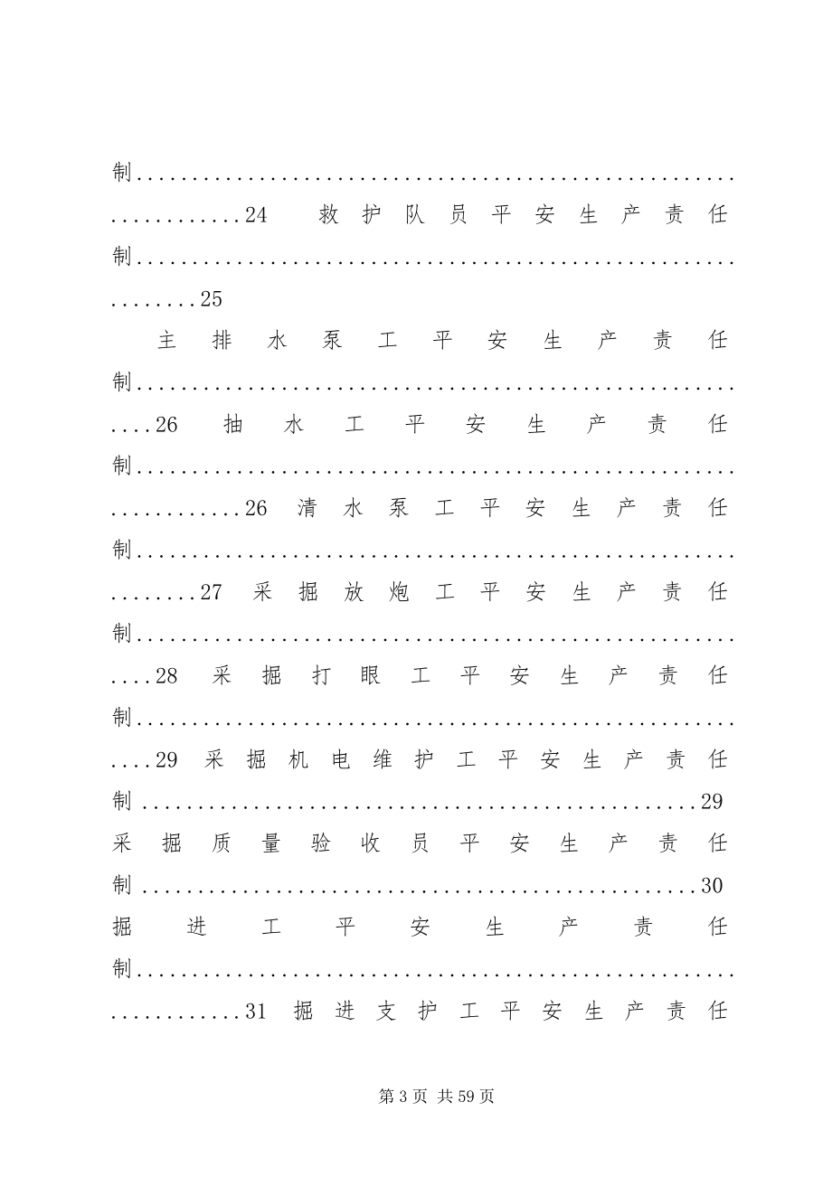 2023年板石煤矿各岗位安全生产责任制新编.docx_第3页