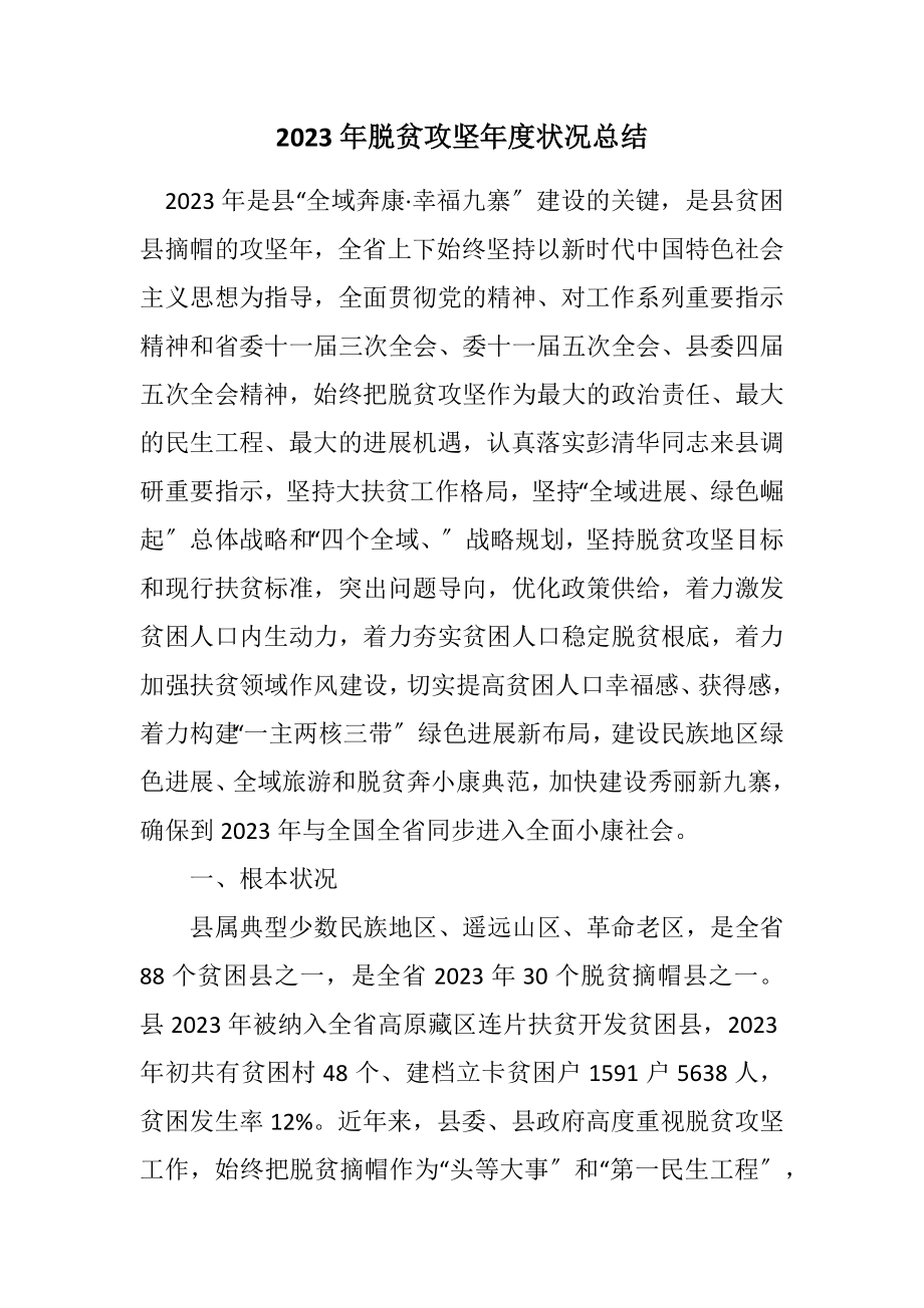 2023年脱贫攻坚年度情况总结.docx_第1页