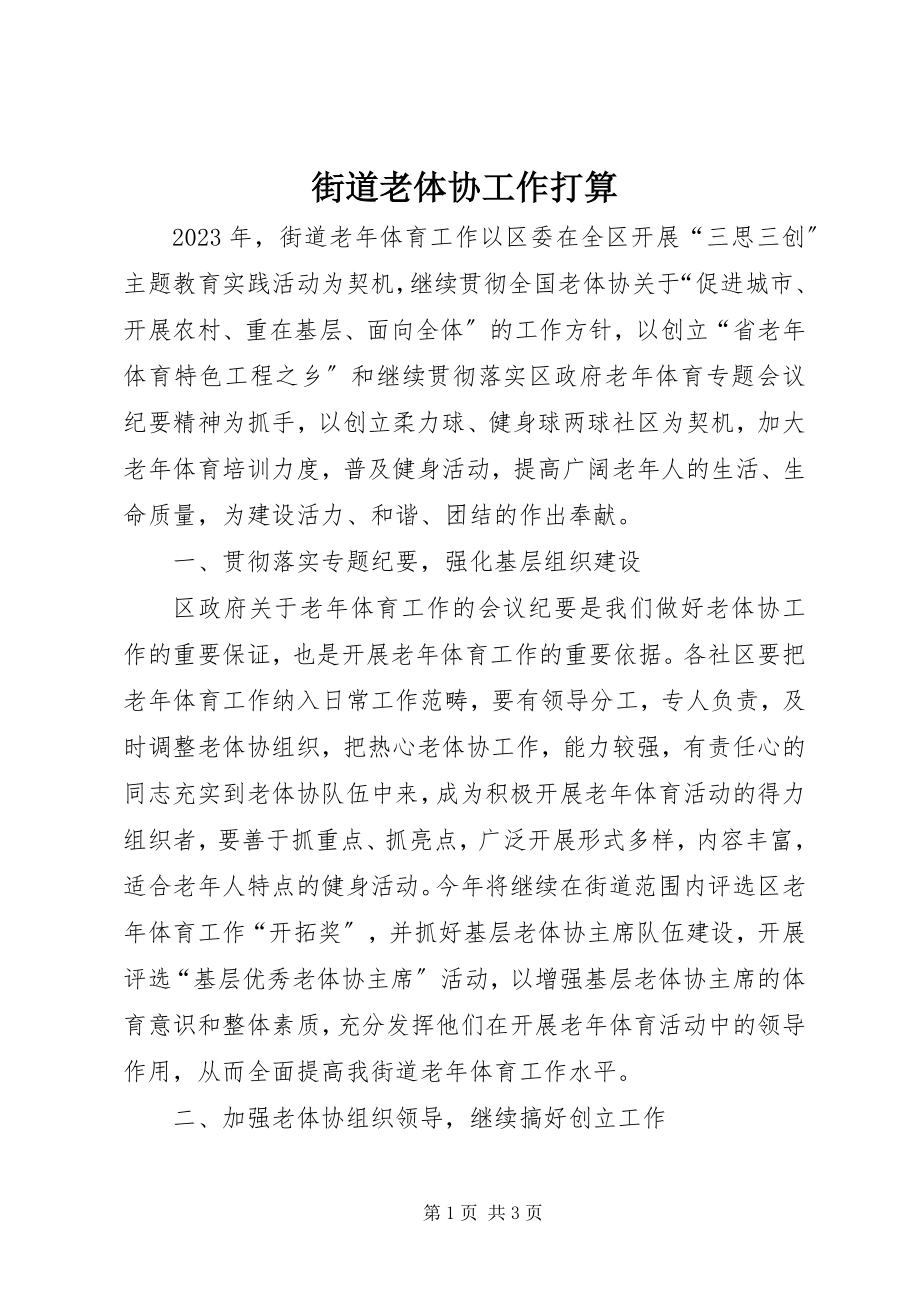 2023年街道老体协工作打算.docx_第1页