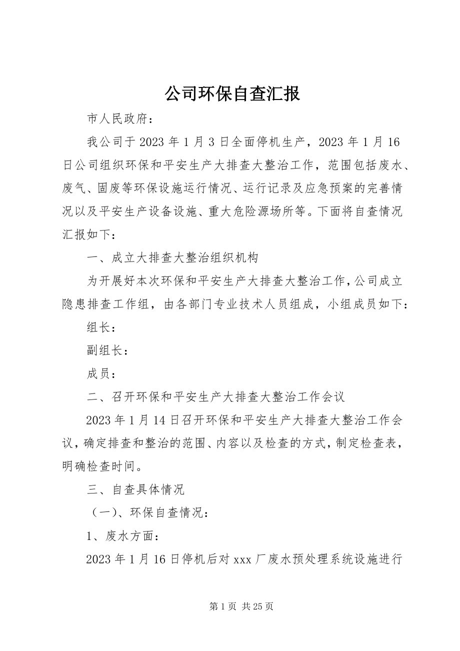 2023年公司环保自查汇报.docx_第1页