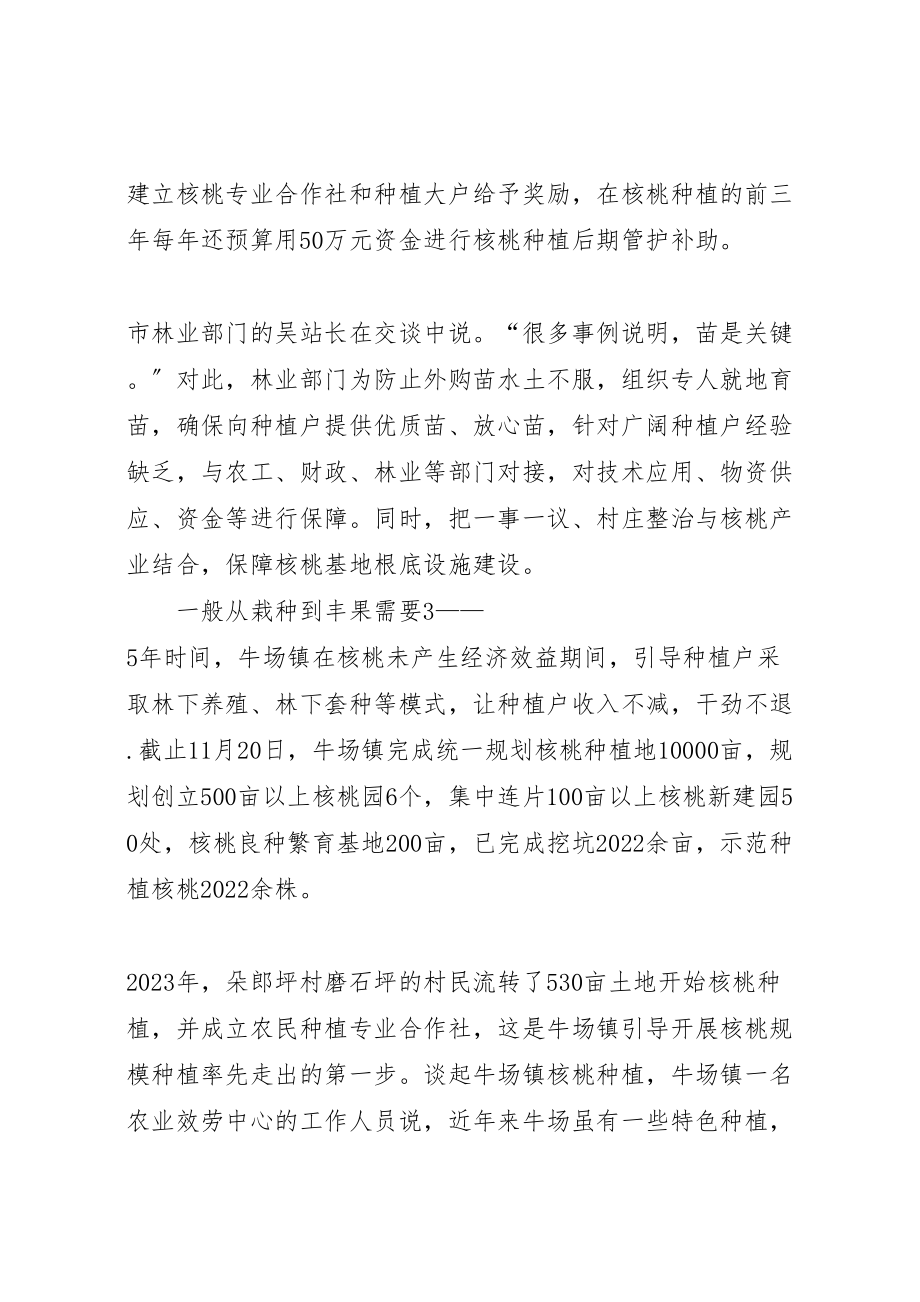 2023年县区大泉乡开展走进青年活动方案 4.doc_第2页