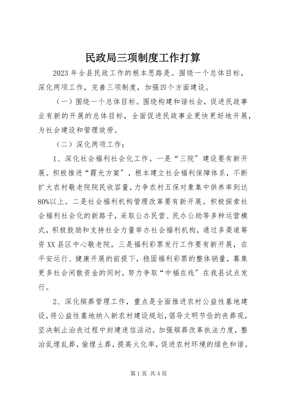 2023年民政局三项制度工作打算.docx_第1页