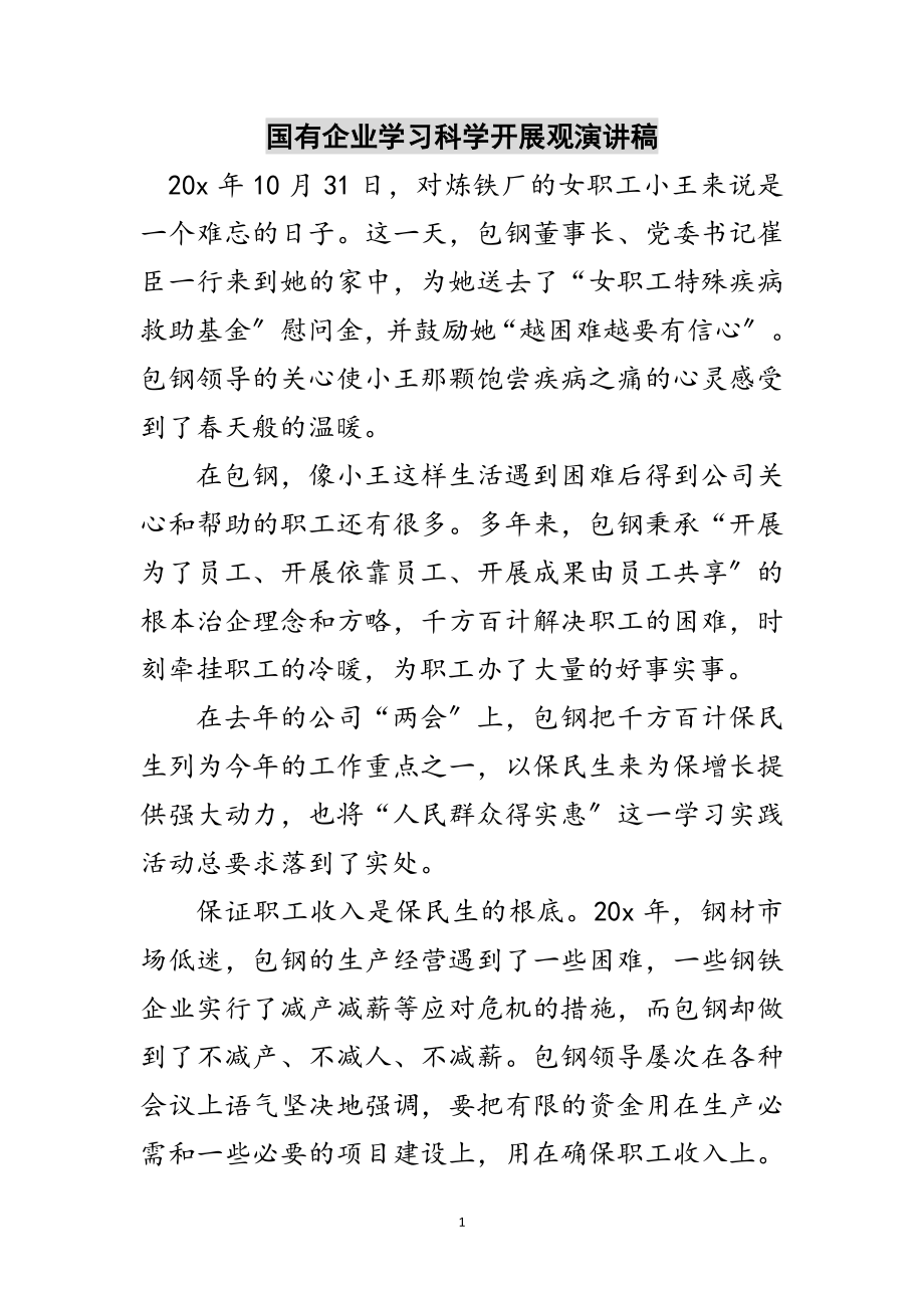 2023年国有企业学习科学发展观演讲稿范文.doc_第1页