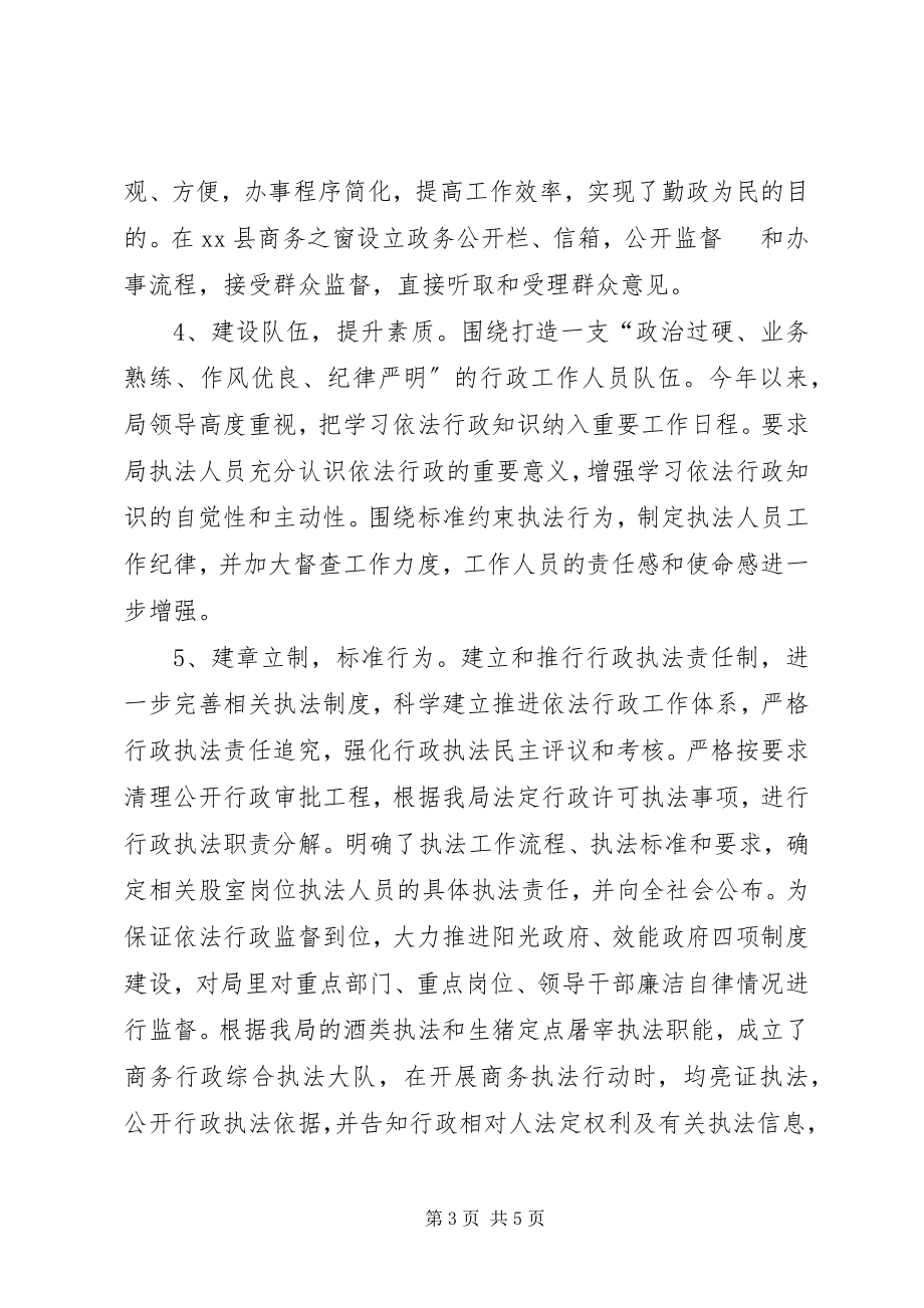 2023年商务局年度依法行政工作总结.docx_第3页