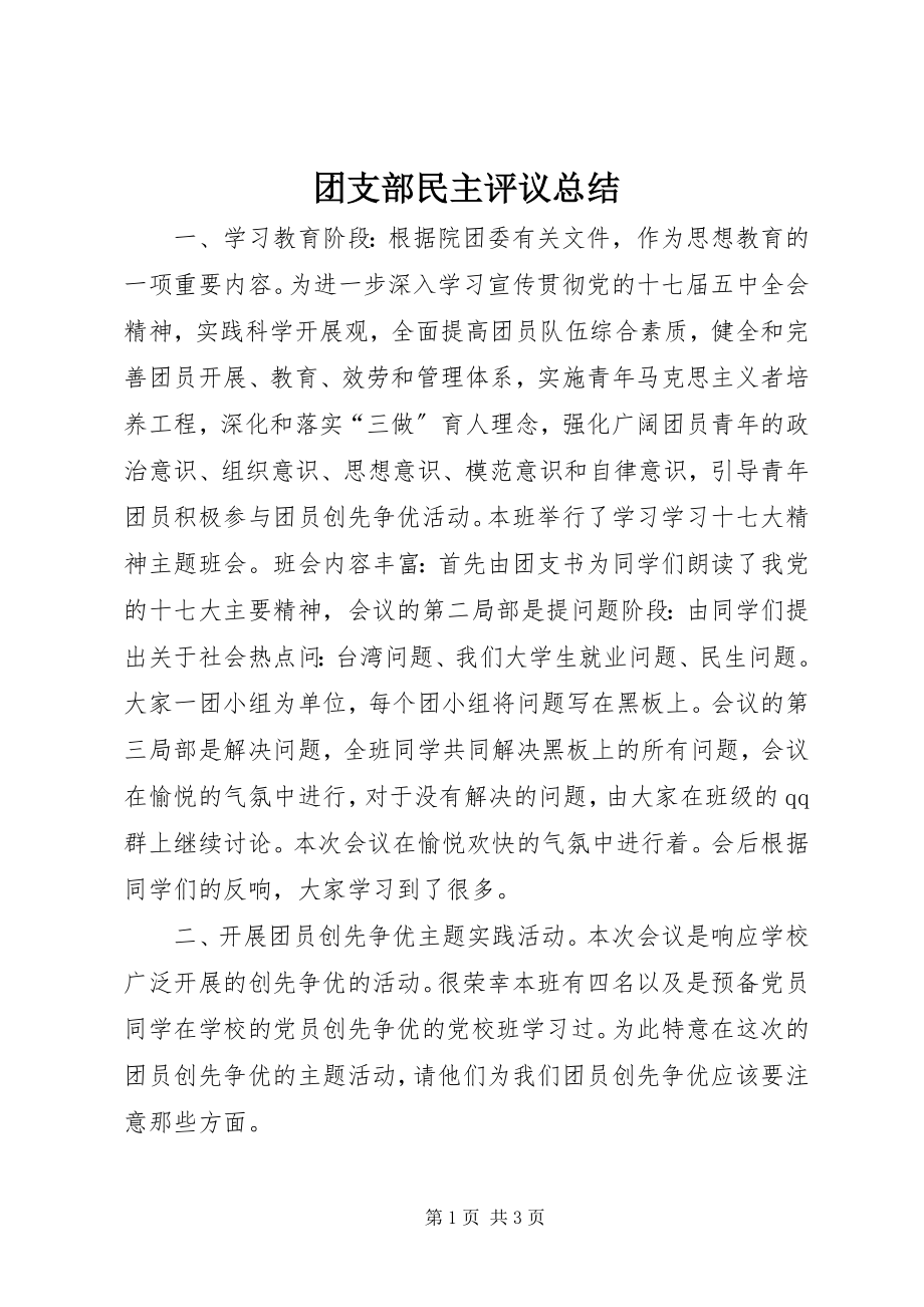 2023年团支部民主评议总结.docx_第1页