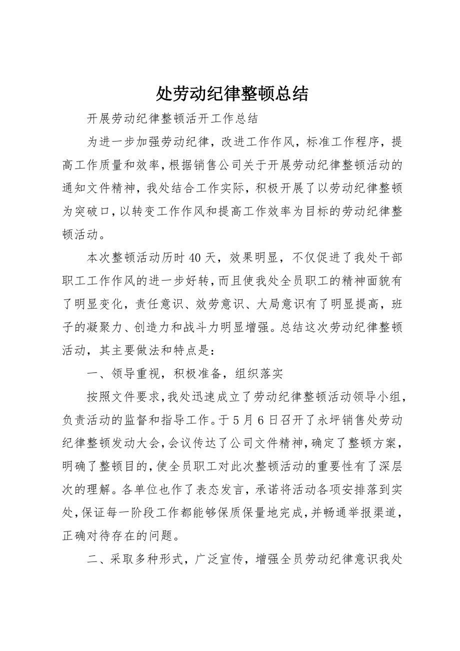 2023年处劳动纪律整顿总结.docx_第1页