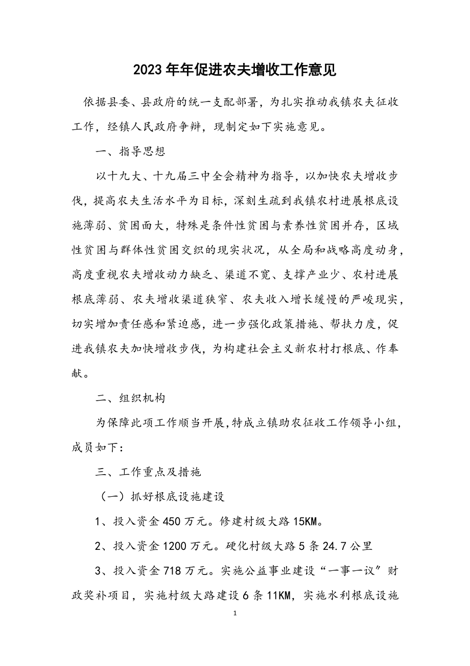 2023年促进农民增收工作意见.docx_第1页