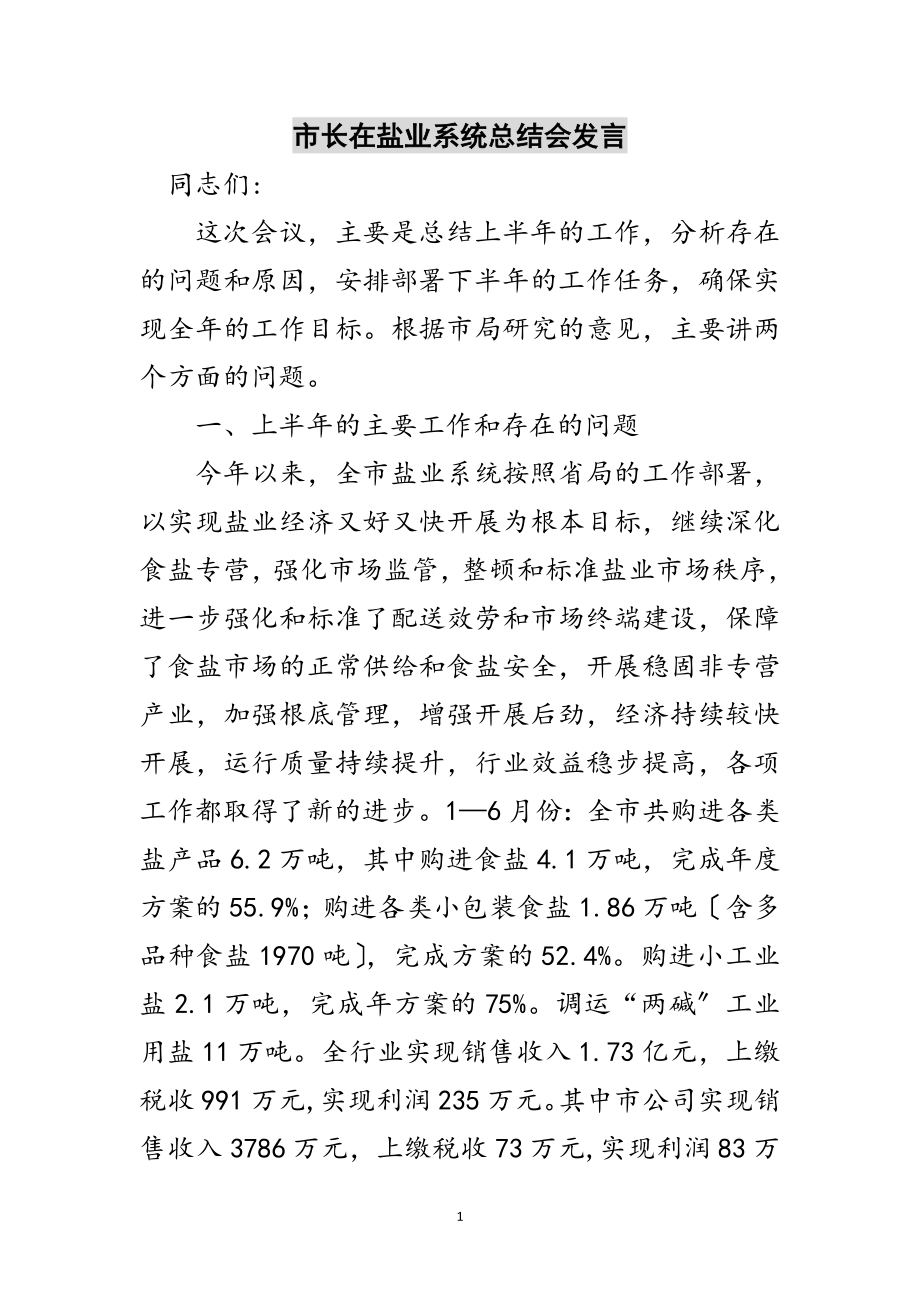 2023年市长在盐业系统总结会发言范文.doc_第1页