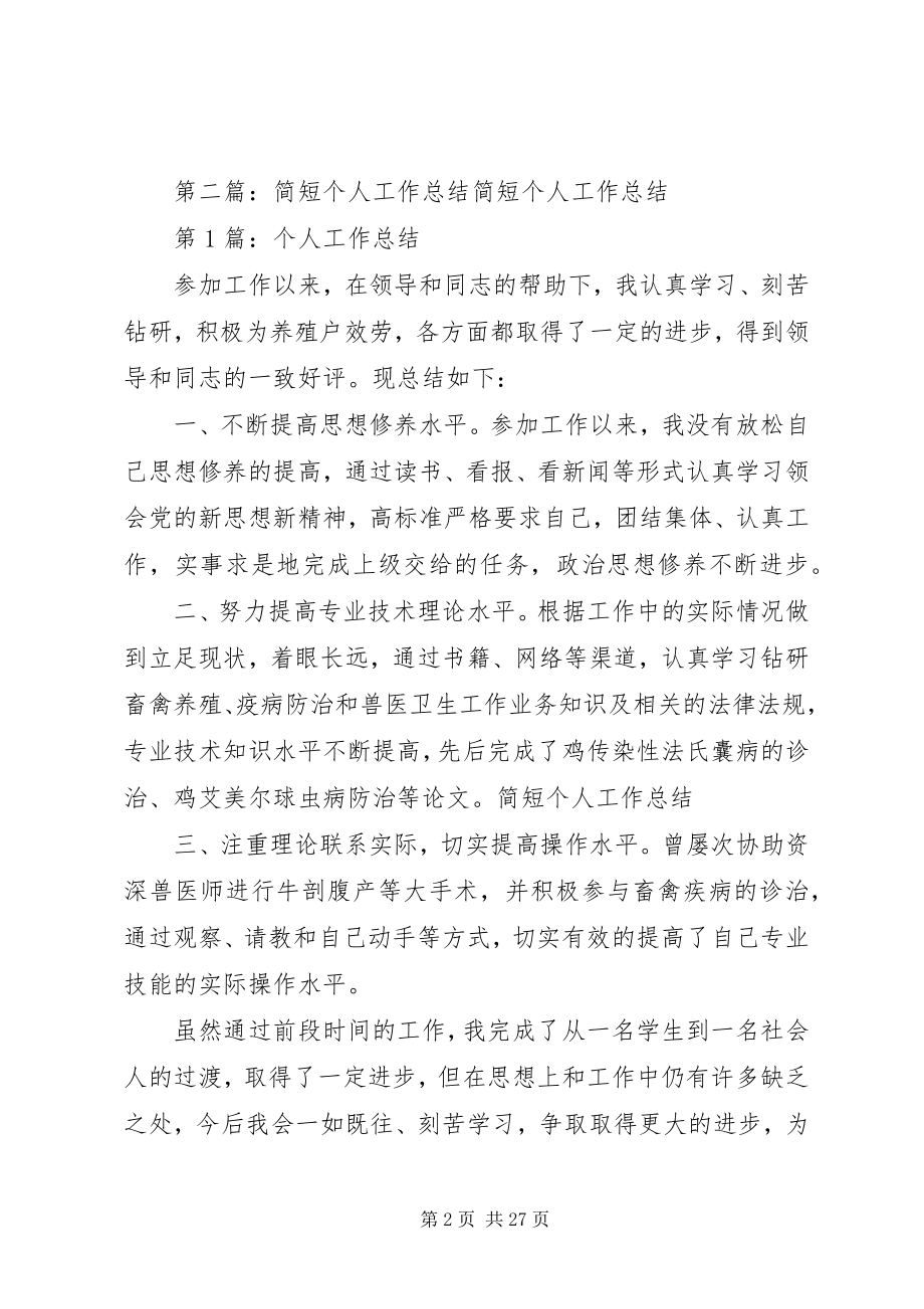 2023年个人简短工作总结.docx_第2页