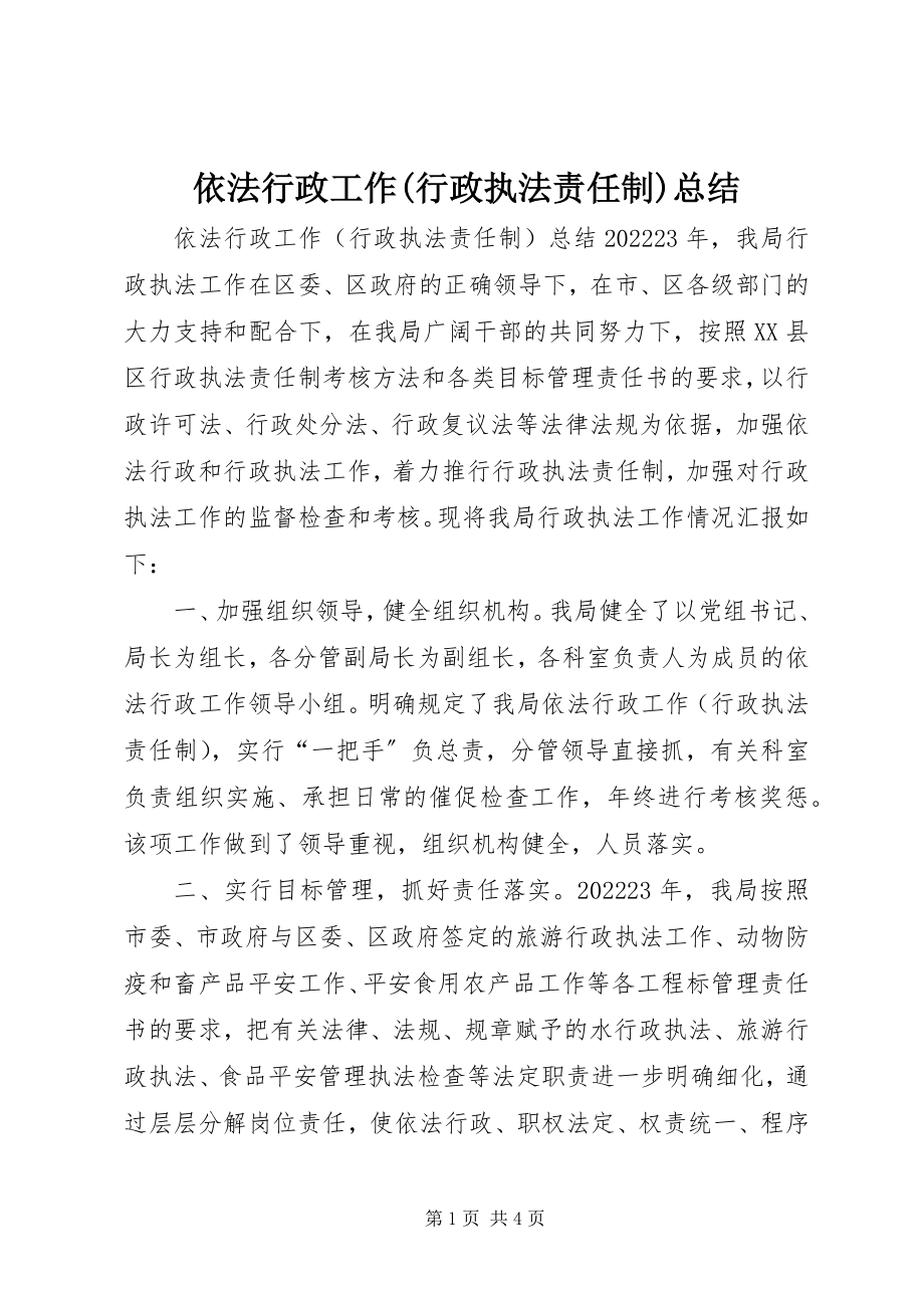 2023年依法行政工作行政执法责任制总结.docx_第1页